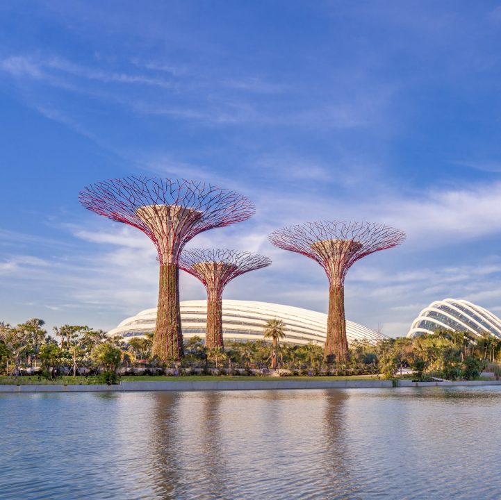 About the Gardens