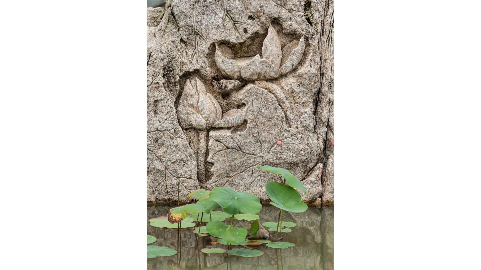 tile-image