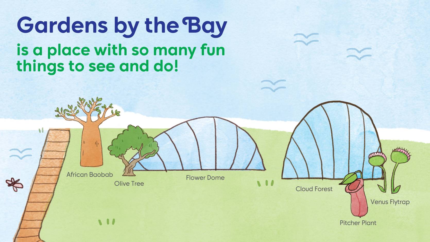 Gardens by the bay