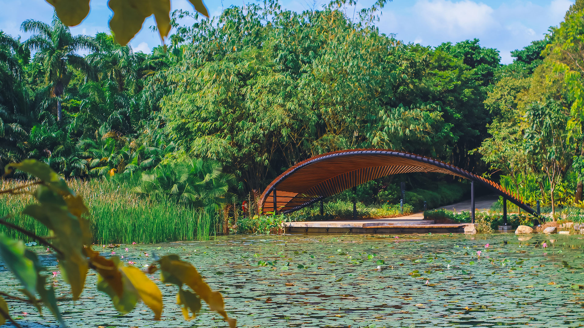 Gardens by the bay