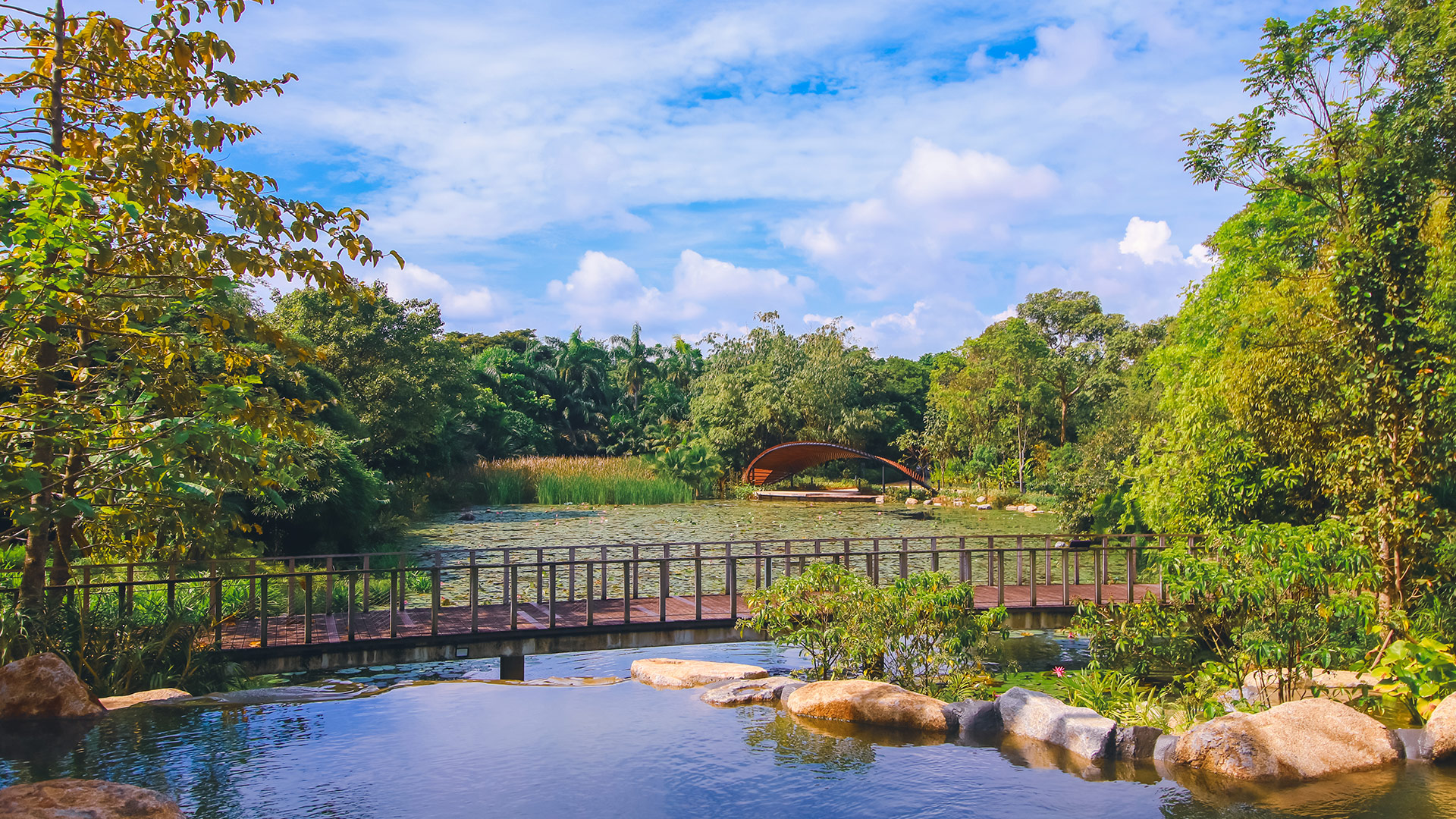 Kingfisher Wetlands