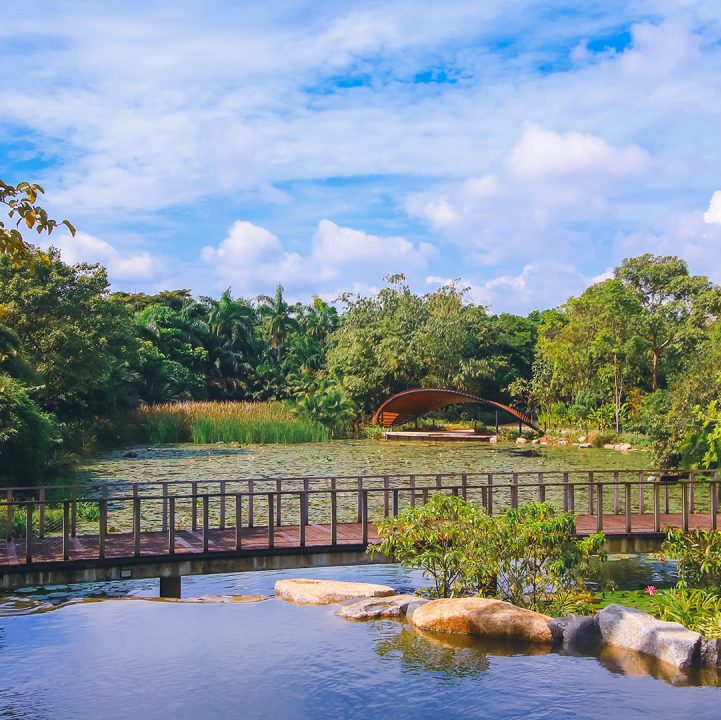 Kingfisher Wetlands