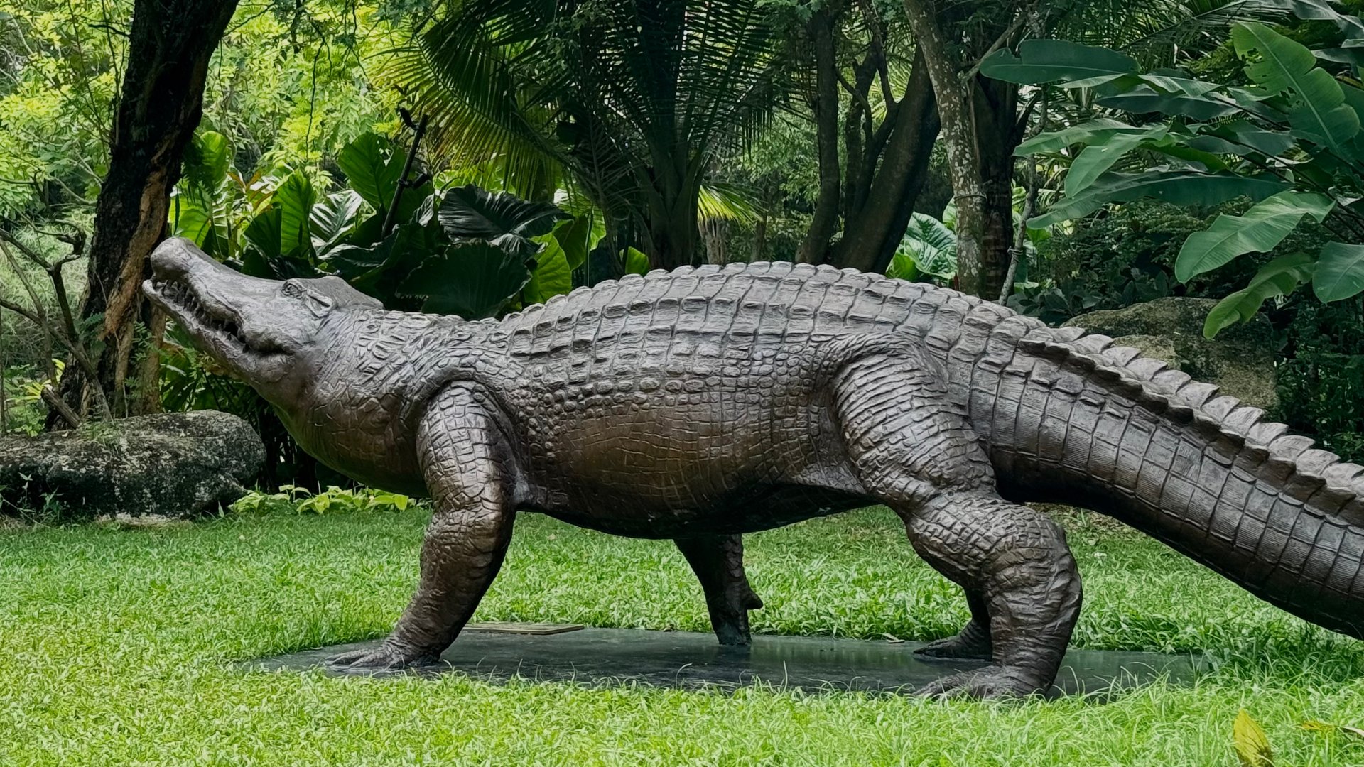 LOVE THE PHILIPPINE CROCODILE