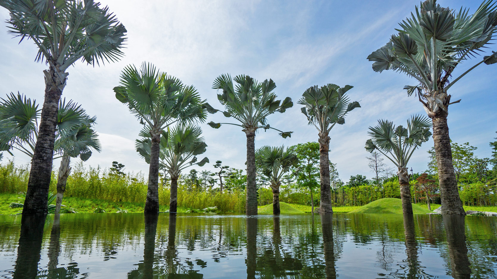 Gardens by the bay