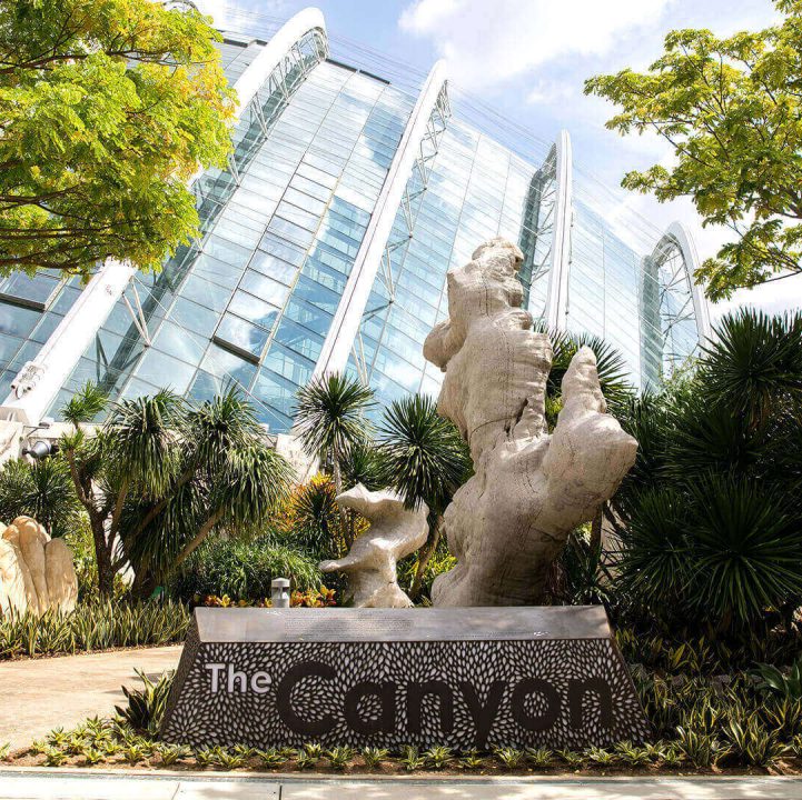 The Canyon