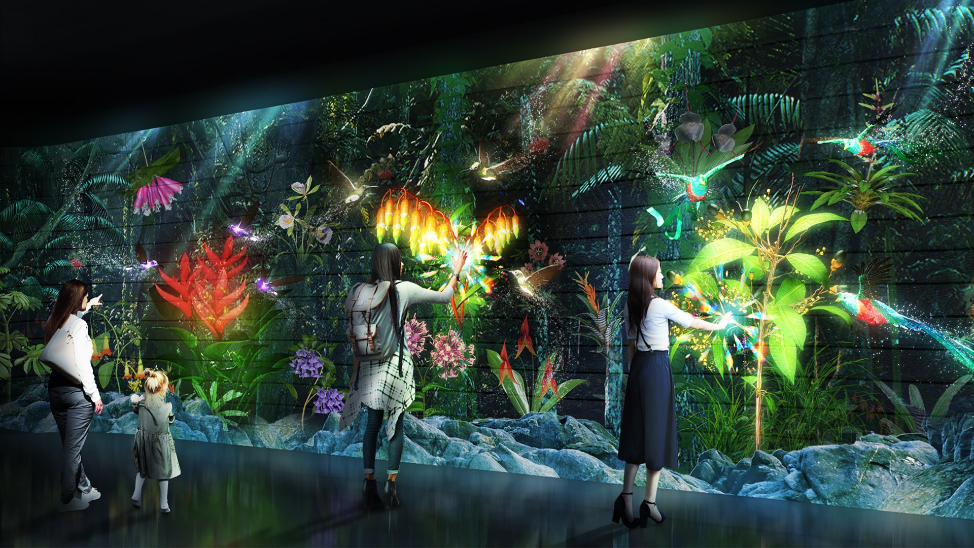 Cloud Forest Gallery