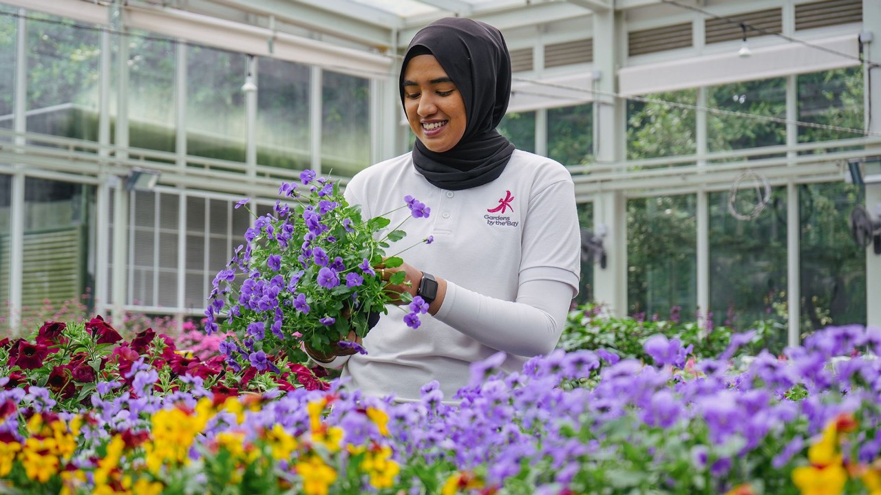 scholar - sharifah yasmeen