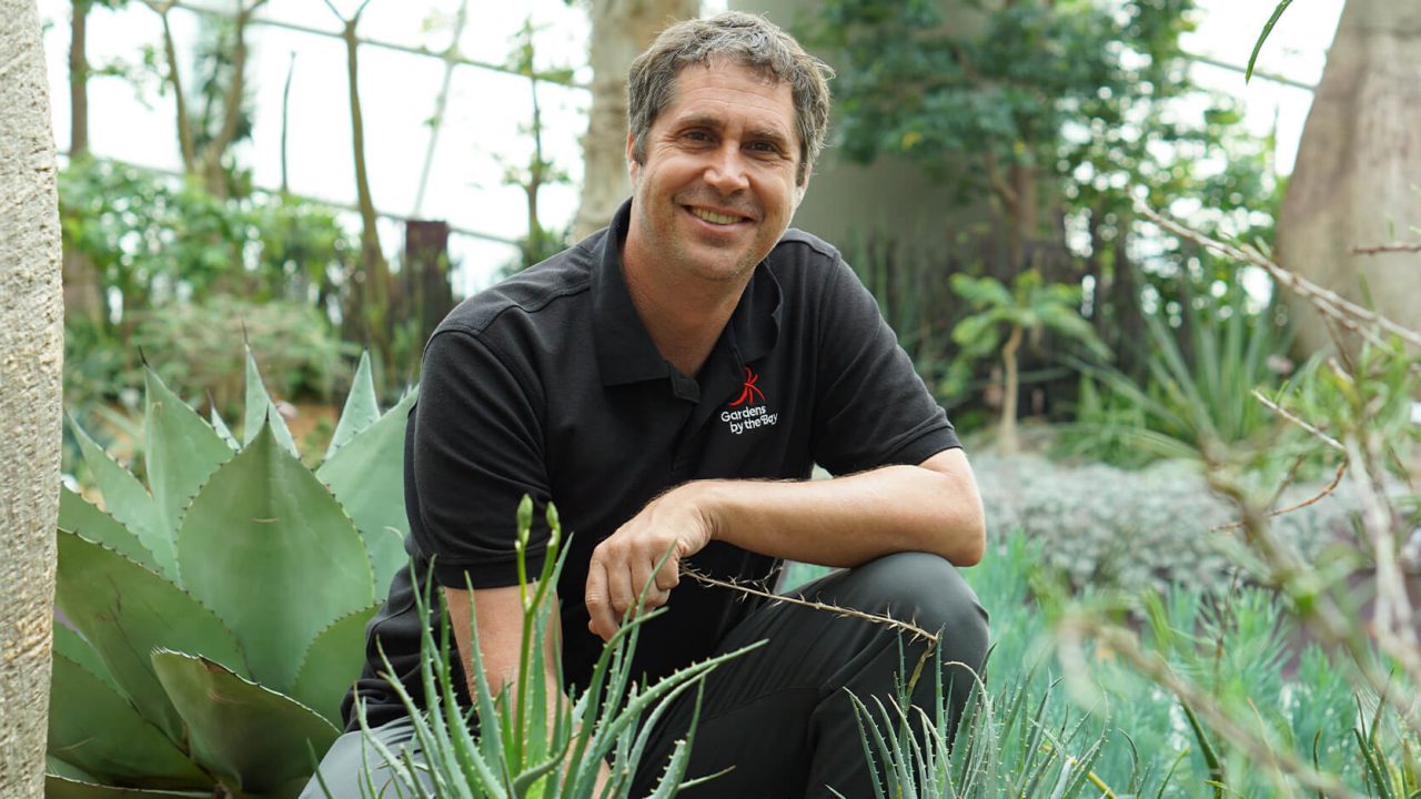 Chad Davis, Deputy Director (Cloud Forest, Conservatory Operations)